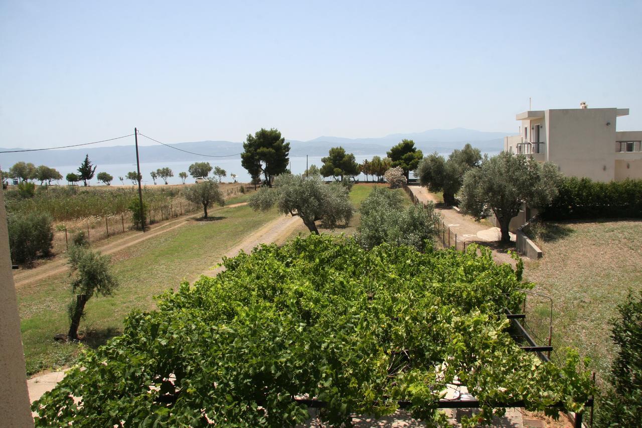 Villa Vlichos Amarynthos Exterior photo